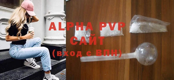 гашик Алексин