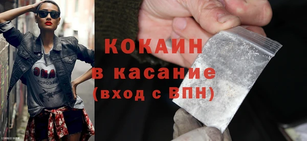 гашик Алексин