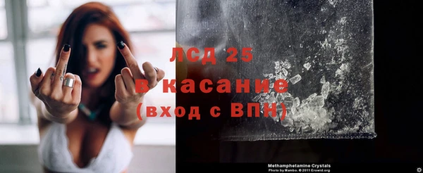 гашик Алексин