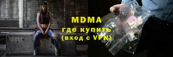 гашик Алексин