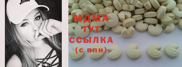 гашик Алексин