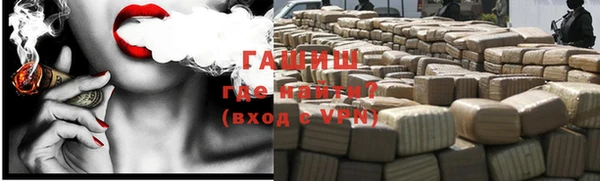 гашик Алексин