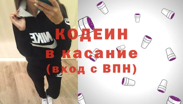гашик Алексин