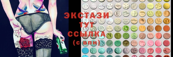 гашик Алексин