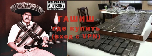 гашик Алексин