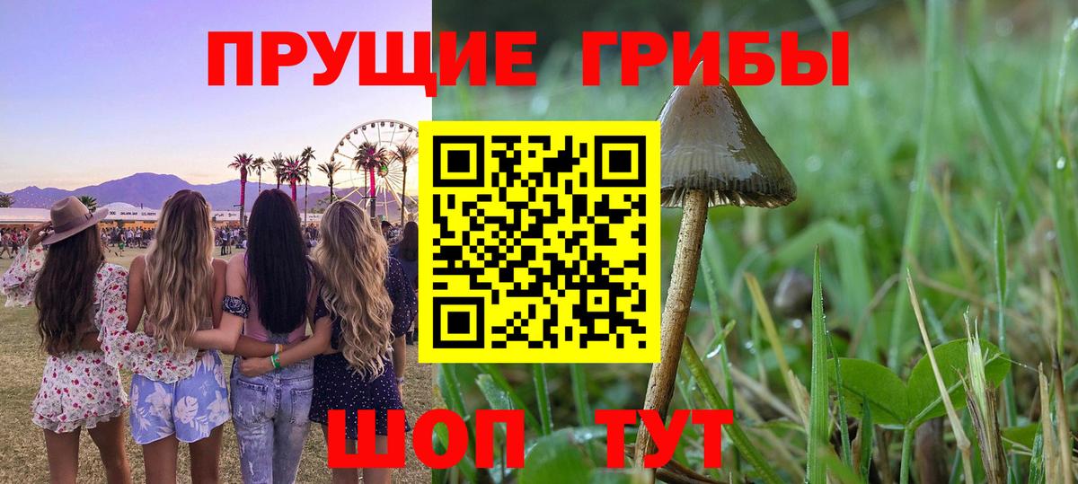 Псилоцибиновые грибы MAGIC MUSHROOMS Глазов