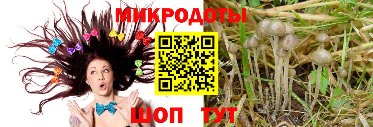 Глазов  Галлюциногенные грибы Psilocybine cubensis  Галлюциногенные грибы Cubensis  Вход с VPN 